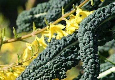 进宅的祝福语(通用60句)