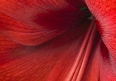 送给爱人的祝福语(实用78句)