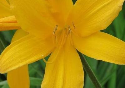 送给妈妈的祝福语简短(推荐67句)