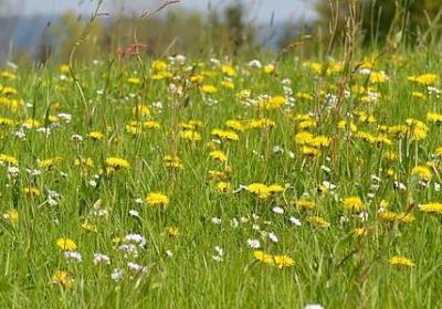 送给自己的生日祝福语(共50句)