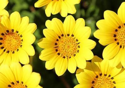 送给幼儿园的祝福语(合集50句)