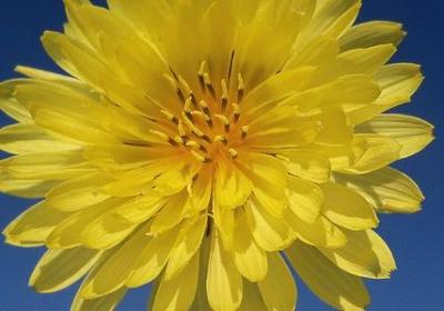 送糖的祝福语(推荐40句)