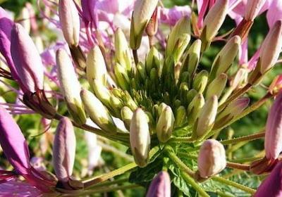 送给孩子的祝福语简短(优选50句)