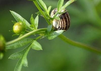 送同学的祝福语(通用50句)