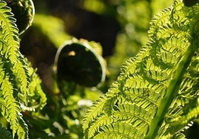 送人的祝福语(精选70句)