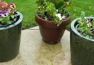 送给顾客的祝福语简短(实用60句)