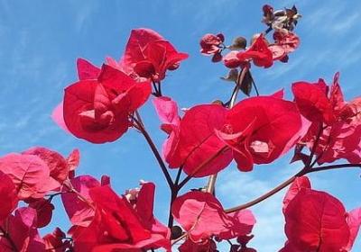 退休说什么祝福语(合集25句)