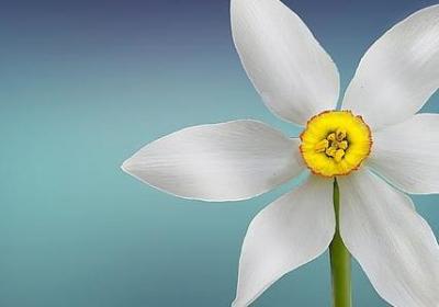 送好朋友的生日祝福语(热门60句)