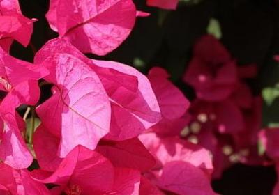 退休祝福语4个字(优选48句)