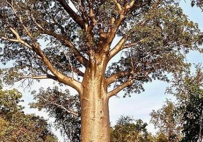 送给宝宝的生日祝福语(50句)