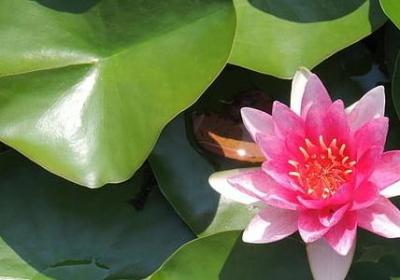 退休欢送会祝福语(优选60句)