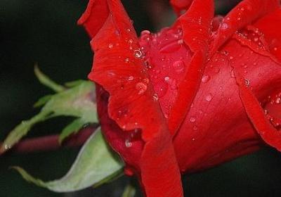 送给小孩子的祝福语(热门50句)