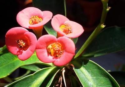 送眼罩的祝福语(合集40句)