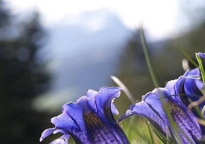 送地球仪的寓意祝福语(共40句)