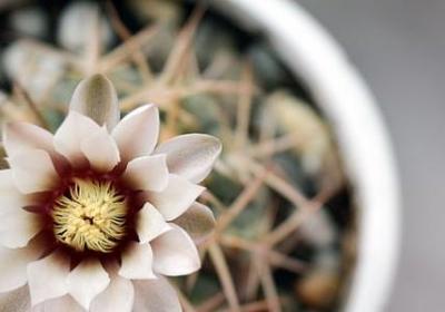 送好友的祝福语(热门60句)