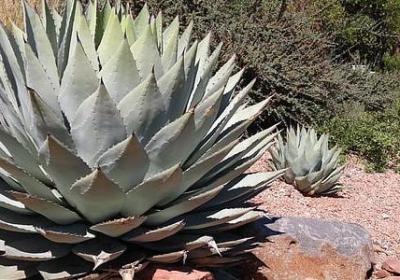 送给客户的祝福语(汇总50句)