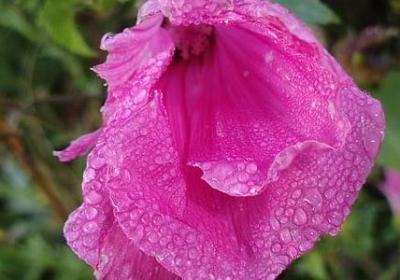 送老公祝福语(推荐50句)