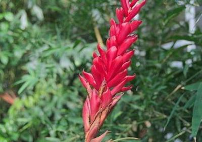 送朋友生日的祝福语(通用50句)