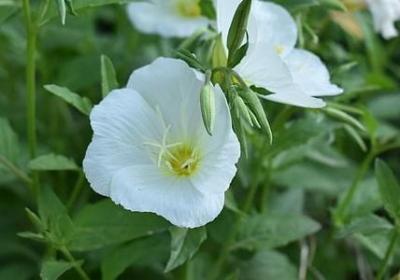 送给兄弟的生日祝福语(实用50句)