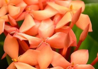 送给宝宝的祝福语(5句)