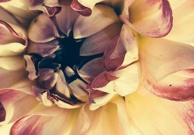 送给音乐老师的祝福语(共40句) 送给音乐老师的祝福语(共40句)