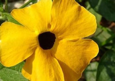 送给情侣的祝福语简短(必备50句) 送给情侣的祝福语简短(必备50句)