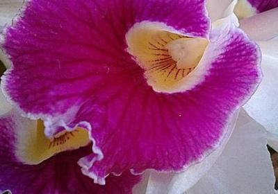 送朋友贺卡祝福语(50句) 送朋友贺卡祝福语(50句)