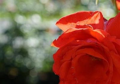 送爸爸的祝福语(通用70句) 送爸爸的祝福语(通用70句)