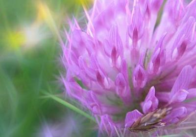 迟来的祝福语(合集50句) 迟来的祝福语(合集50句)