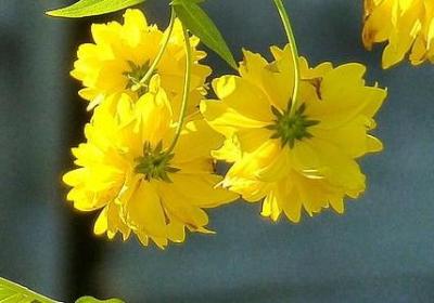 送老婆生日祝福语(优选40句) 送老婆生日祝福语(优选40句)