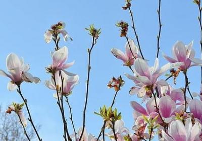 送给老同学的祝福语(汇总70句) 送给老同学的祝福语(汇总70句)