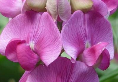 送给最爱的人的祝福语(通用50句) 送给最爱的人的祝福语(通用50句)