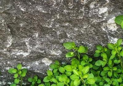 送学姐的祝福语(通用40句)