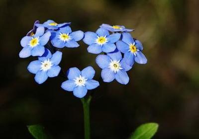 送老板祝福语(精选60句)