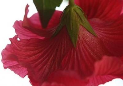 送给老师的祝福语简短(推荐40句)