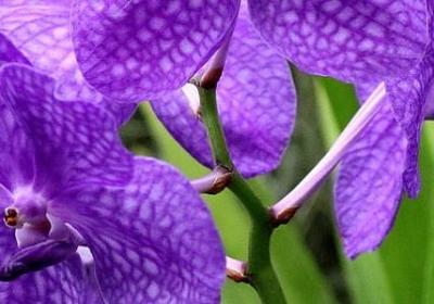 送人祝福语(汇总40句)