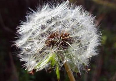 远行祝福语(合集50句)