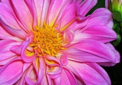 送给女儿女婿的祝福语(汇总56句)