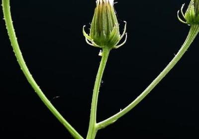 送客户的祝福语(通用40句)