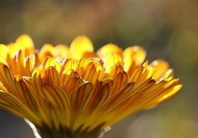 送礼祝福语(通用80句)