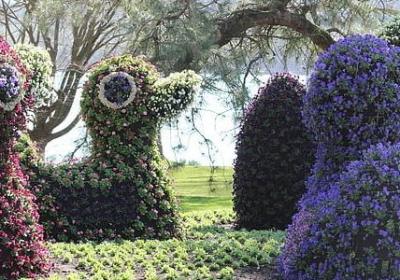 送给开车的男人祝福语(实用50句)