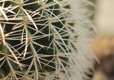 送姐姐的祝福语(通用40句)