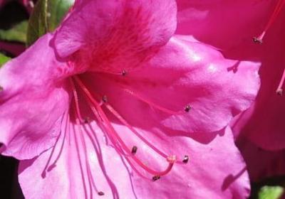 进宅祝福语(优选46句)