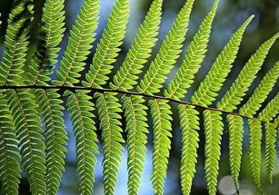 送妈妈的贺卡祝福语(推荐30句)