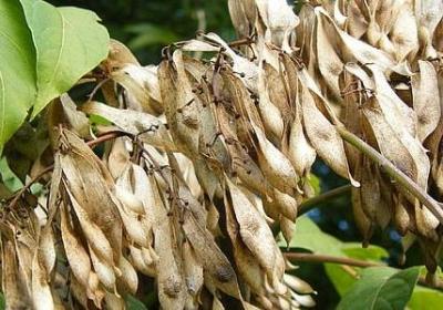 送水杯的祝福语(优选50句)