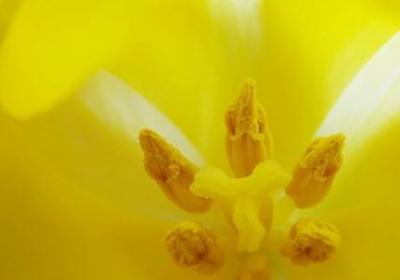 进火祝福语(热门50句)