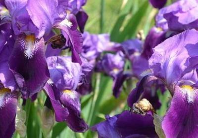 送老婆蛋糕祝福语(优选47句)