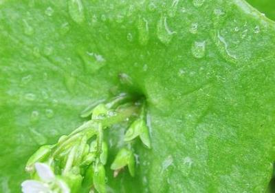 送给生物老师的祝福语(精选41句)