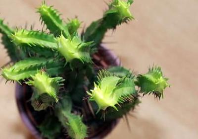 送洞房祝福语(热门69句)