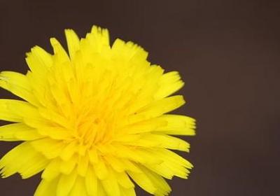 送给闺蜜的祝福语(40句)